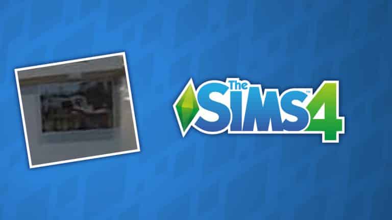 This extremely blurry photo could be from the upcoming Sims 4 Pack