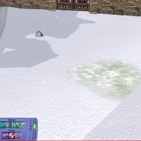 snow2