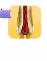 The Original Haute Dog