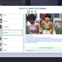 Freelancer career screen