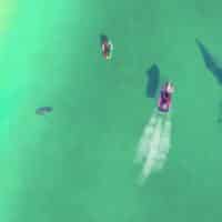 The Sims 4™ Island Living Official Reveal Trailer 012