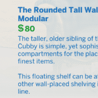 TS4 x64 2021 05 28 22 34 06