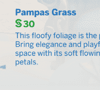 TS4 x64 2021 05 28 22 34 30