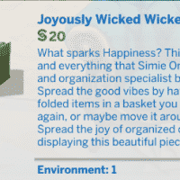 TS4 x64 2021 05 28 22 34 33