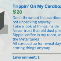 TS4 x64 2021 05 28 22 34 34