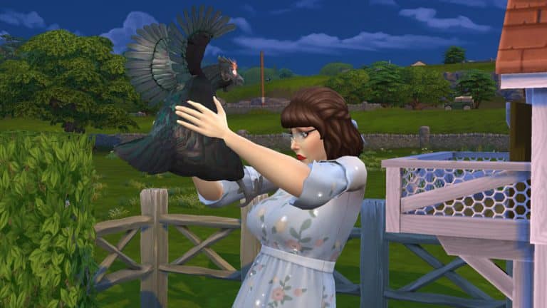 The Sims 4 Cottage Living: All About Chickens