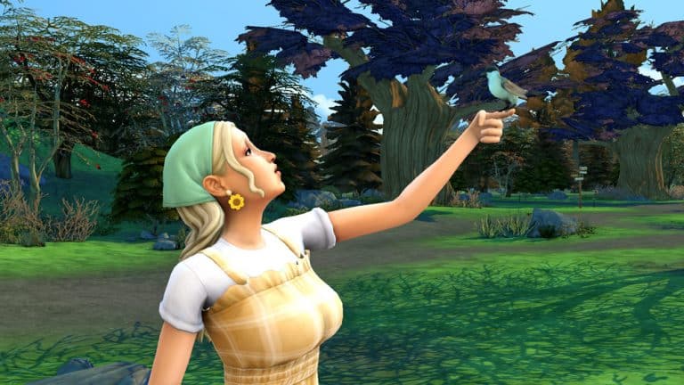 The Sims 4 Cottage Living: All About Wild Birds