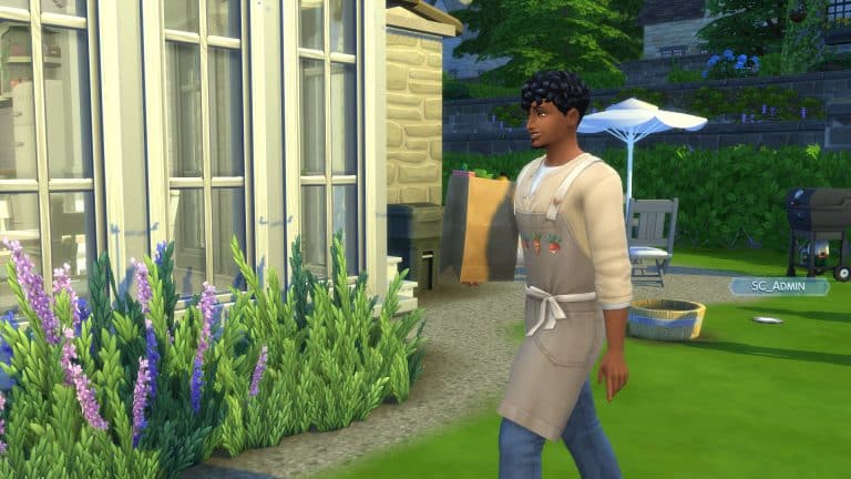 The Sims 4 Cottage Living: All About Groceries and New Delivery Options