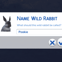 rabbit4