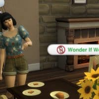 traitsaspirationguide