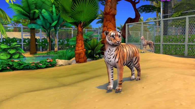 Building a Functional Zoo in The Sims 4