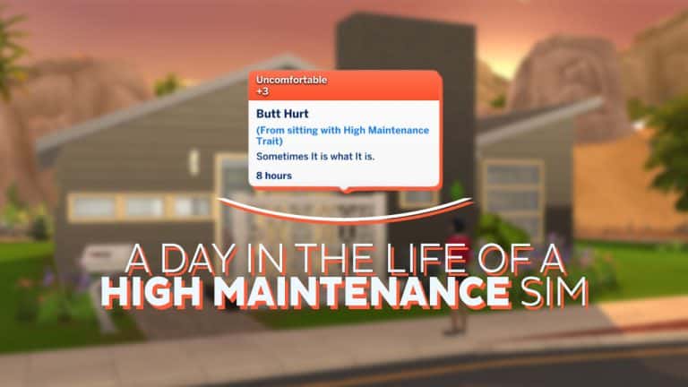 A Day in the Life of a High Maintenance Sim
