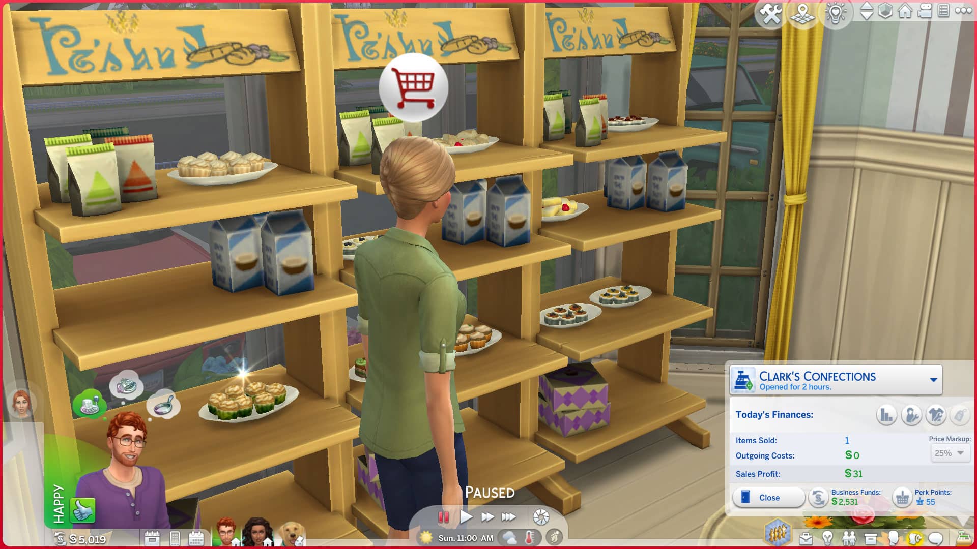 Is There A Store In Sims 4