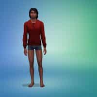 casredwoolenblousemale