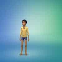 caswoolenyellowblouse