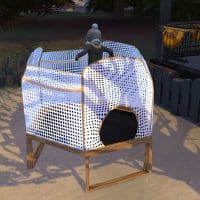 TS4 x64 2022 01 18 15 47 53