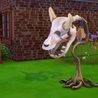 132698107 1986794564790401 4379570475812948526 n