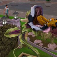 89973889 1729605090509351 3985184894216044544 n