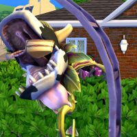 90350379 1731401756996351 7045191231093080064 n