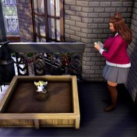 90356605 1729184607218066 635304007576846336 n