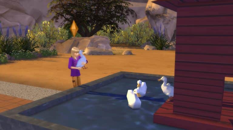 A Modder is Working on a Functional Duck Pond for The Sims 4
