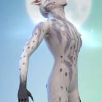 MTS CmarNYC 2107966 Thumb