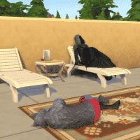 MTS zeldagirl180 2102621 immortalitynerf