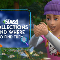 sims 4 collections guide