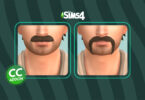 CCaddonmoustache