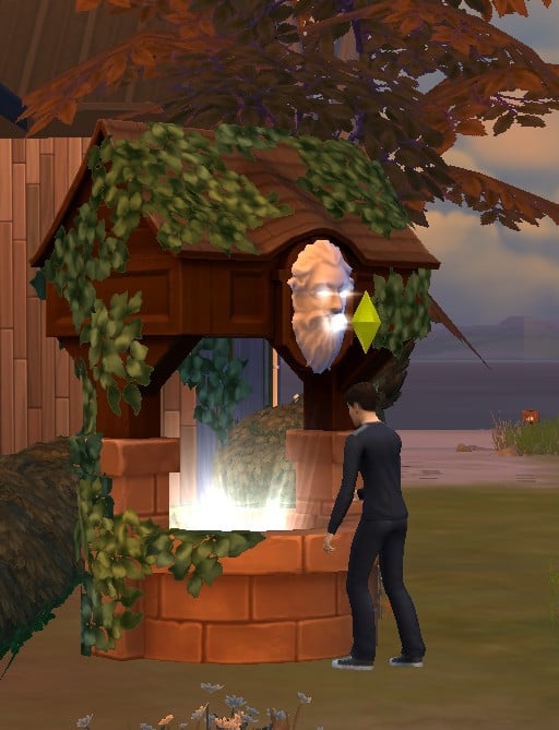 The Sims 4 Death types, wishing well