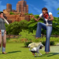 TS4 Horses 12