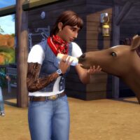 TS4 Horses 3