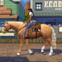 TS4 Horses 5