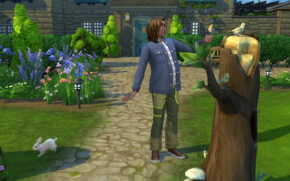 Sim singing to birds