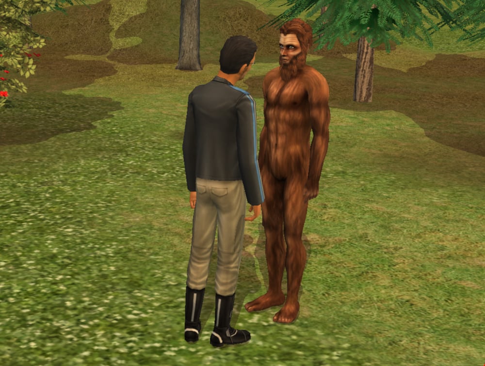 Sim meeting Bigfoot