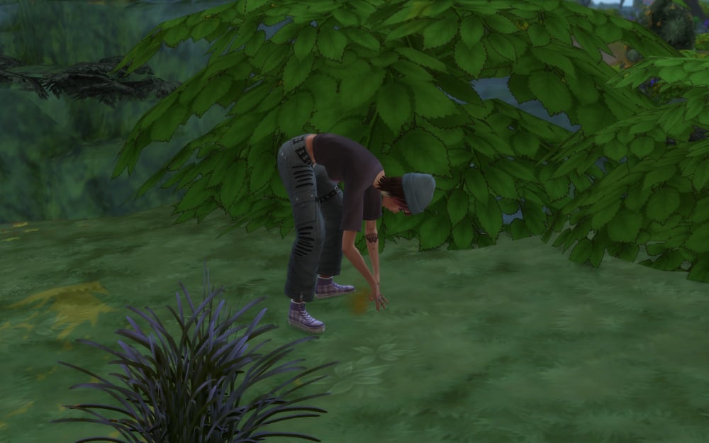 Natural Living Skill in The Sims 4 Enchanted by Nature 3 Sim foraging