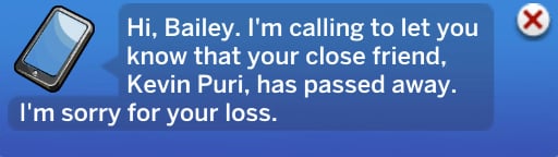 Top 10 Sims 4 Quality of Life Updates We’re Begging For 9 Friend passed away