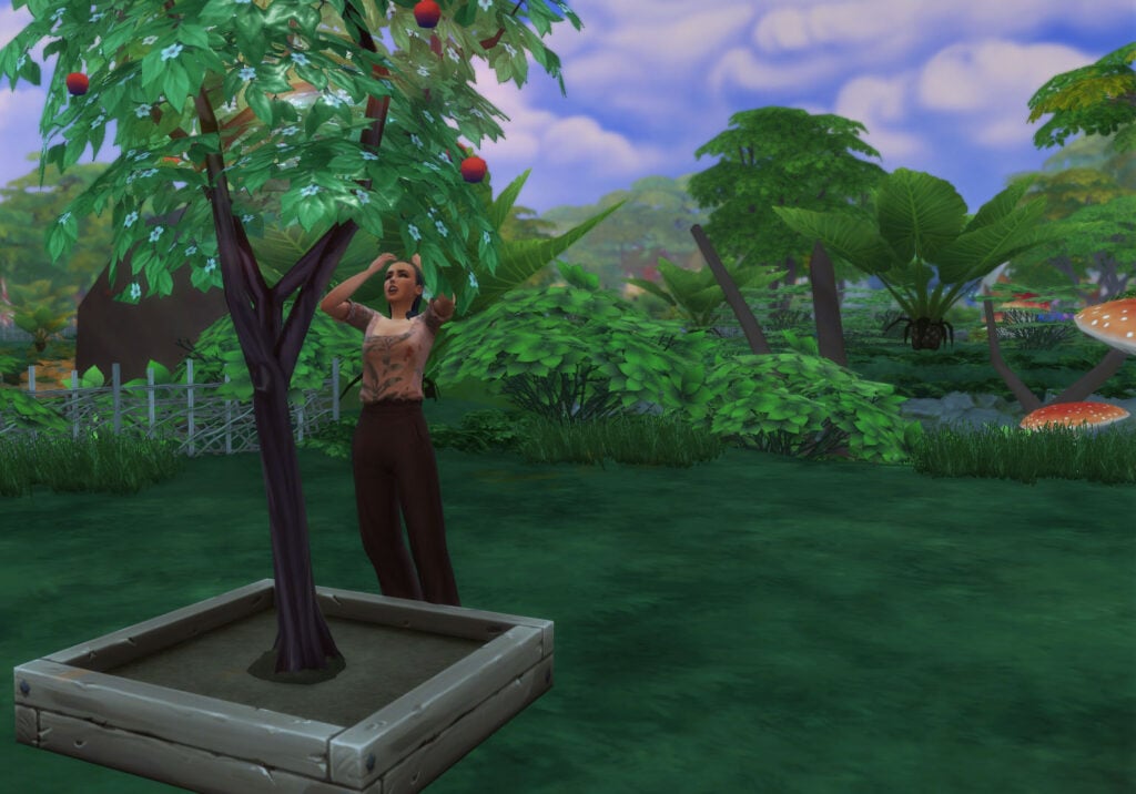 The Sims 4 Houseplants and Gardening Upgrades in Enchanted by Nature 4 The Sims 4 Houseplants Enchanted by Nature, Scold Plant