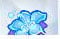 The Sims 4 Houseplants in Enchanted by Nature, Warding Aura