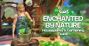 houseplants featured 1