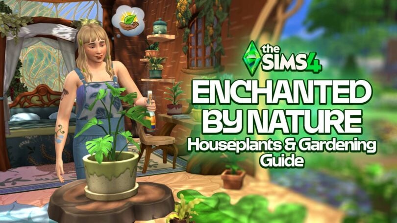 houseplants featured 1