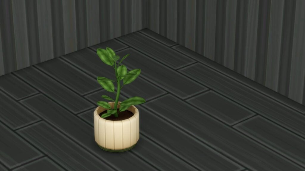 TS4 x64 2025 08 30 23 02 46 699
