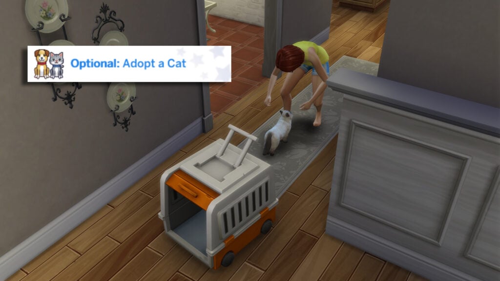 Task 1B Optional adopt Cat
