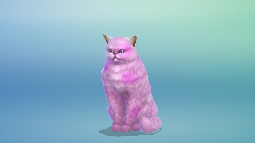 Task 1c Cat Monster