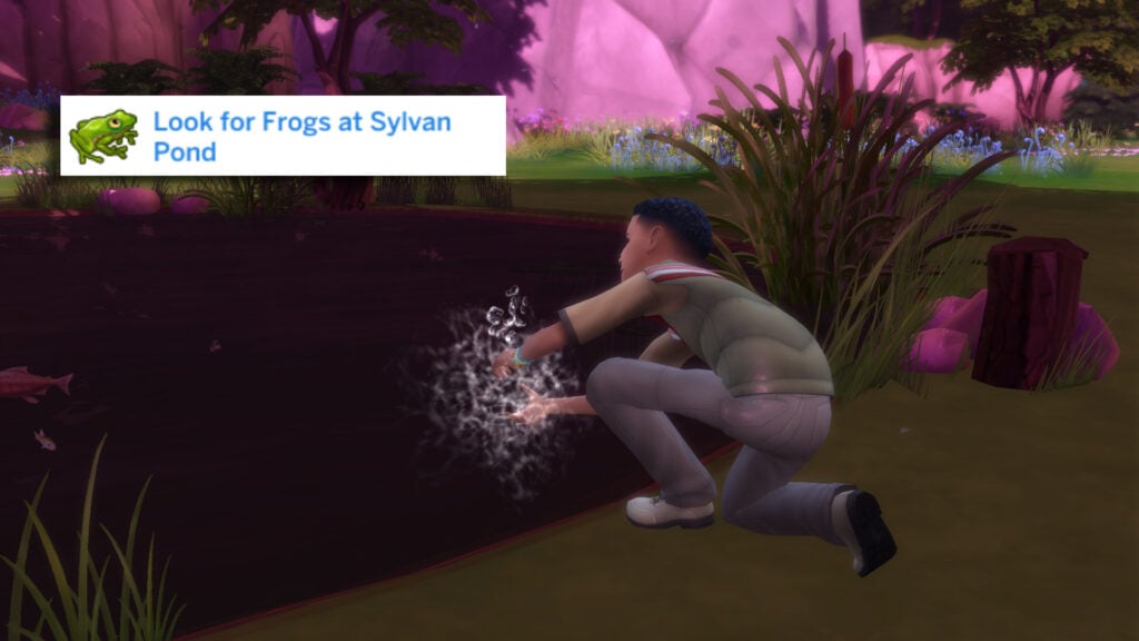 Task 8A Frogs