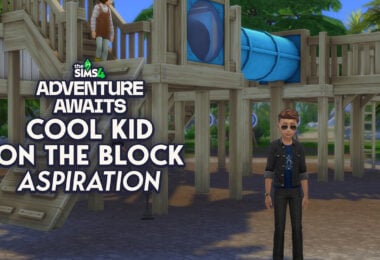 Sims 4 Cool Kid on the Block Aspiration