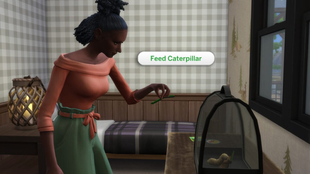 The Sims 4 Adventure Awaits: Gibbi Point Adventure Quests Guide 65 butter6