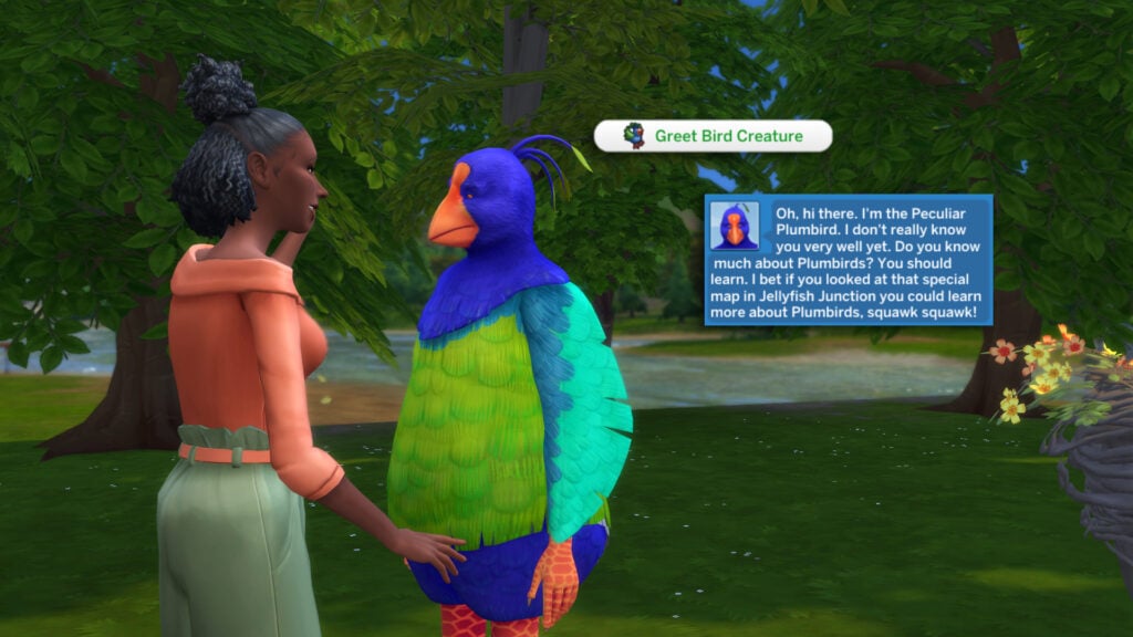 The Sims 4 Adventure Awaits: Gibbi Point Adventure Quests Guide 13 greetbird