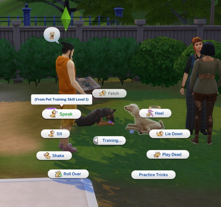 Premade Pets are Missing in The Sims 4; Adventure Awaits Cross-Pack Feature Not Working as Promoted 7 sims 4 dog training venue3