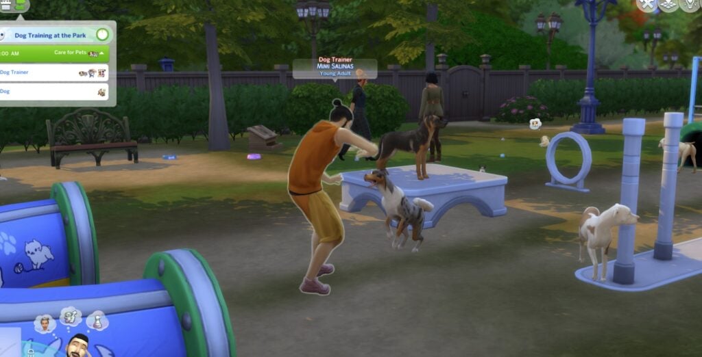 Premade Pets are Missing in The Sims 4; Adventure Awaits Cross-Pack Feature Not Working as Promoted 8 sims 4 dog training venue4